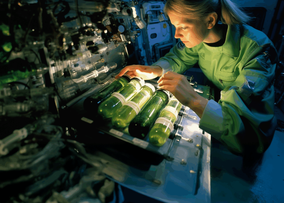 Space Volcanic Algae &#8211; ISS